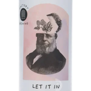 Let it In