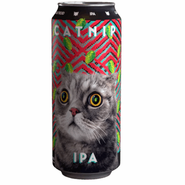 Catnip