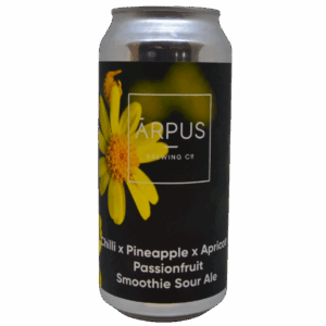 Chilli X Pineapple X Apricot X Passionfruit Smoothie Sour Ale