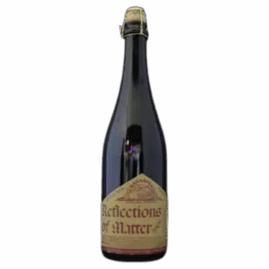 Reflections of Matter Noyaux 2020