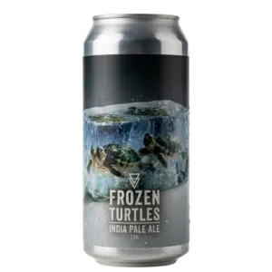 Frozen Turtles